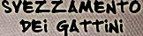 svezzamento